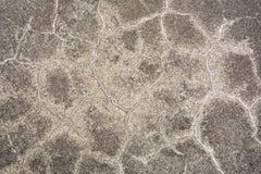 What Is The Difference Between Mortar And Cement?